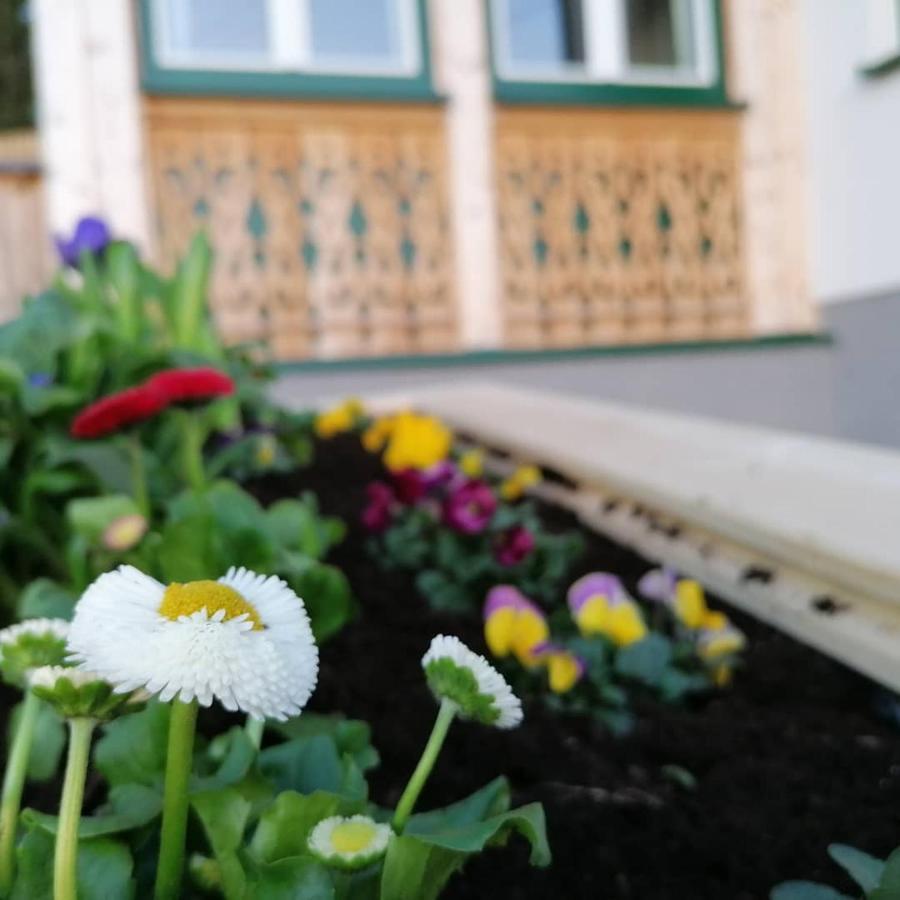 Ferienwohnungen Kalss Nahe Altaussee Bad Aussee Buitenkant foto